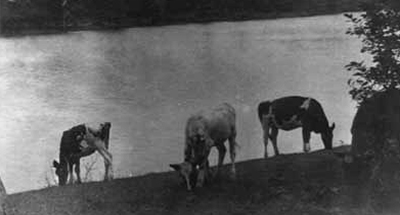 Northfielders called themselves the ‘river folk,’ because it took so much effort to cross Skokie Lagoons to get to church, school or anywhere