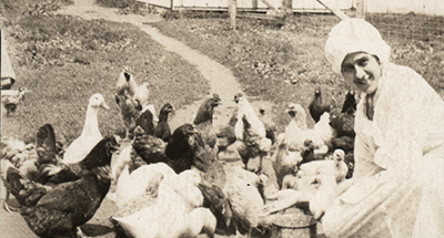 Metz Family Farm