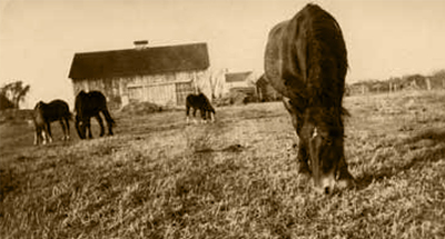 The Metz farm, now Somerset Lane, got a visit every year from Northfield Township’s tax collector, who rode from farm to farm on horseback. One of our town’s earliest settlers, Henry Seul, was elected Northfield Township’s tax collector in 1881.