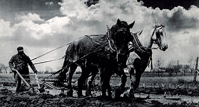 The Metz farm, just east of Sunset Ridge School, where the family raised hay, in the early 1900’s