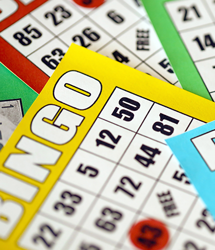 Northfield Centennial Celebration Bingo